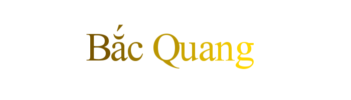 Sắc màu tình cảm  